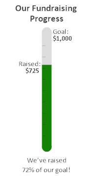 Fundraising Thermometer