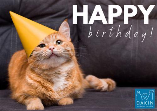 Happy Birthday_Cat