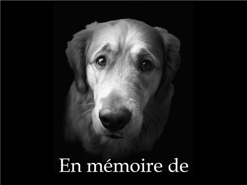 In Memory 9 (French)