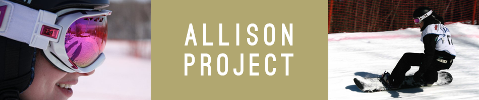 ALLISON PROJECT