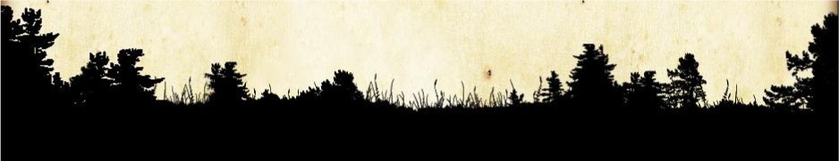 Exile Island Ontario 2013