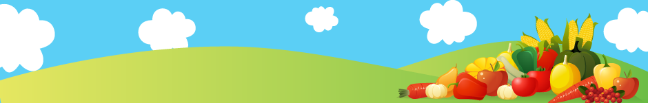 National BBQ Day Footer