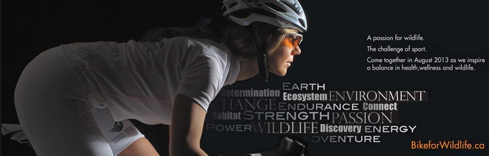CWF bike for wildlife