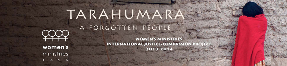 Alliance Women's Ministries 2013-2014 Project