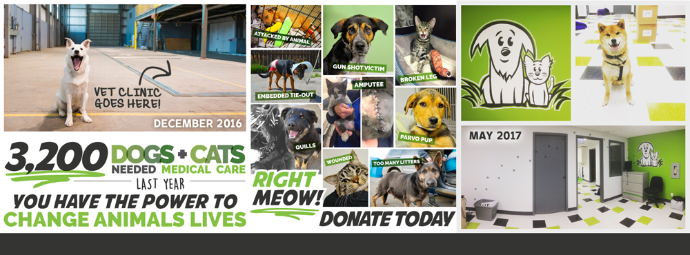 AARCS Capital Campaign