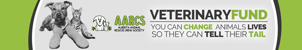 AARCS Veterinary Fund | Changing Lives Through Kindness
