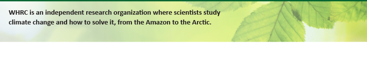 WHRC is an independent research organization where scientists study climate change and how to solve it, from the Amazon to the Arctic.