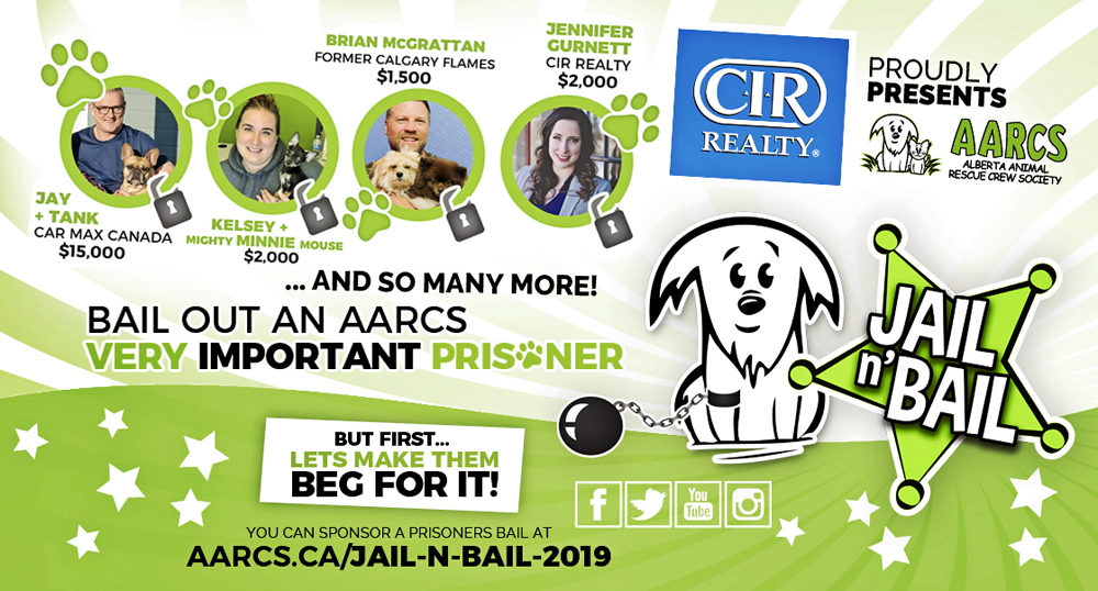 2019 AARCS Jail n' Bail