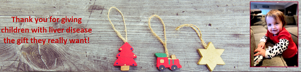 Hailey and Christmas ornaments