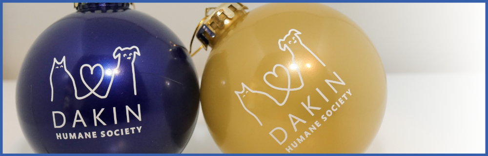 Dakin Ornaments