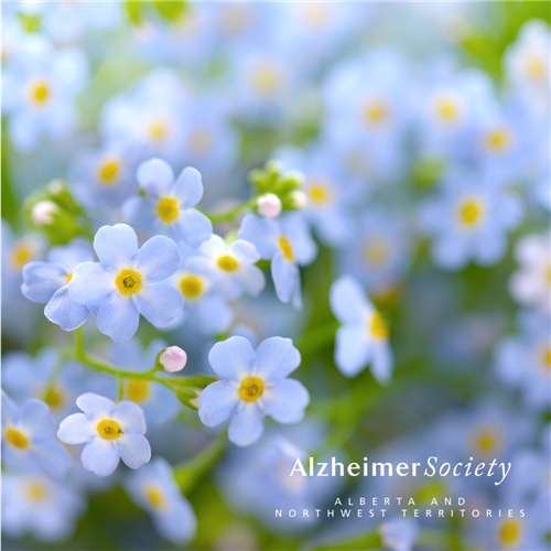 Direct Response eCard