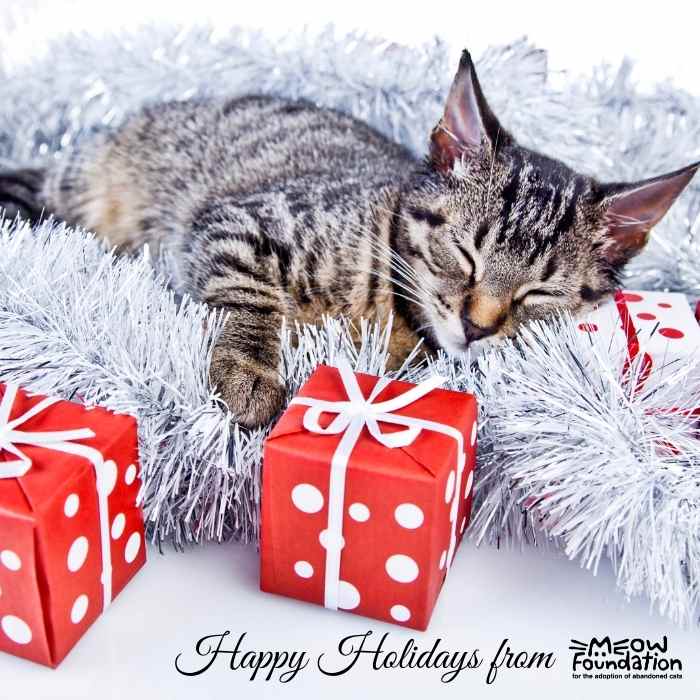 ECard Image